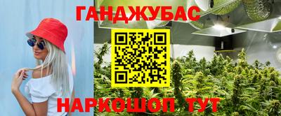 a pvp Лесосибирск
