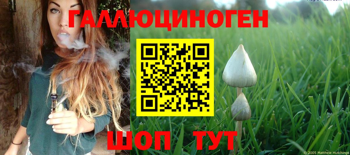Ростов-на-Дону  Псилоцибиновые грибы ЛСД  даркнет сайт  Вход с VPN 
